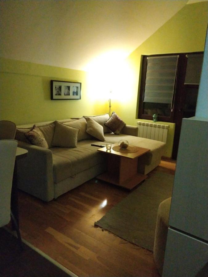 Apartment Gledovic Zlatibor Extérieur photo