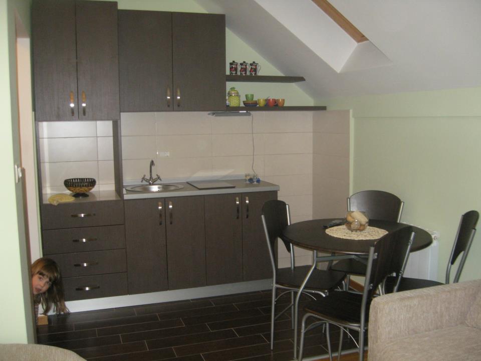 Apartment Gledovic Zlatibor Extérieur photo