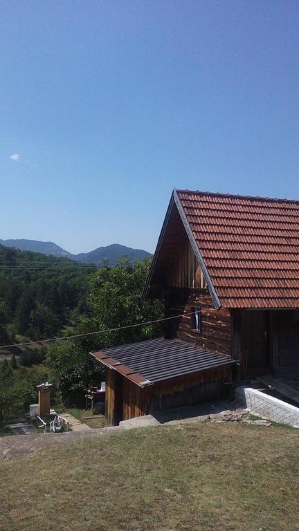 Apartment Gledovic Zlatibor Extérieur photo
